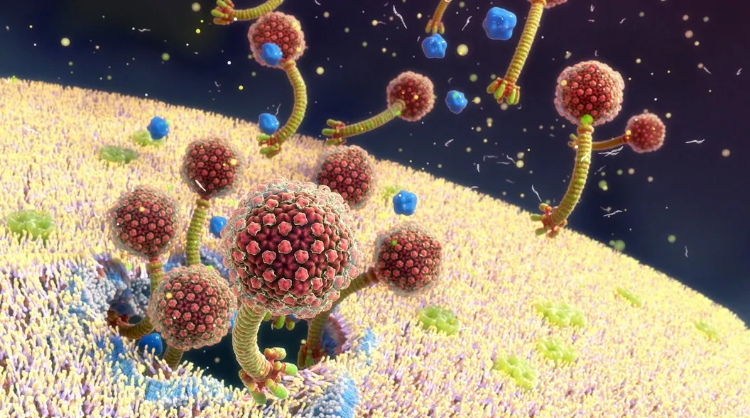 
                                                                                            Бактериальные инфекции: невидимая угроза и защитные механизмы
                                            